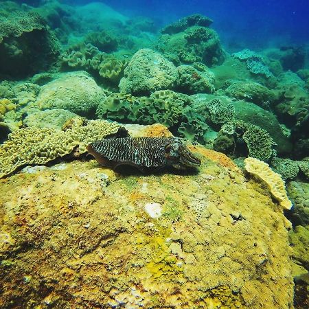 Luna Beach Hotel Nilaveli Eksteriør bilde