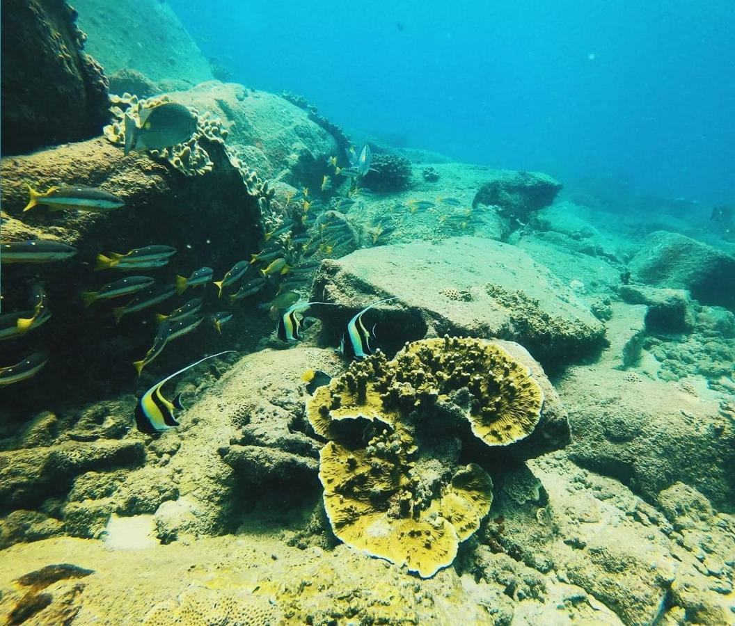 Luna Beach Hotel Nilaveli Eksteriør bilde