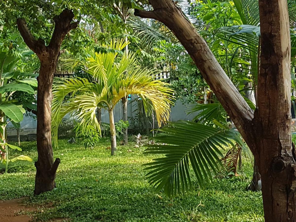 Luna Beach Hotel Nilaveli Eksteriør bilde